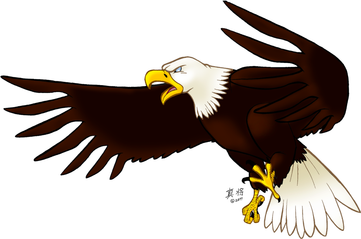 Detail Dowload Eagle Nomer 53