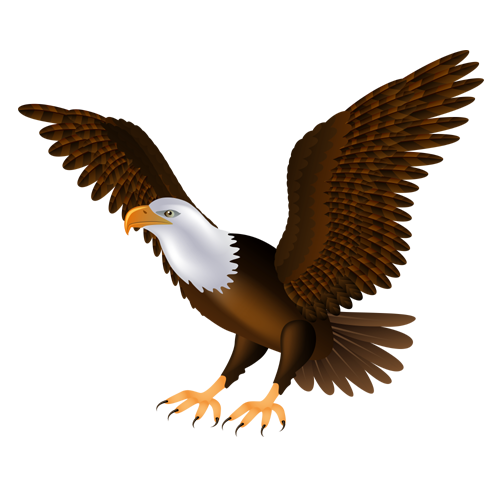 Detail Dowload Eagle Nomer 10