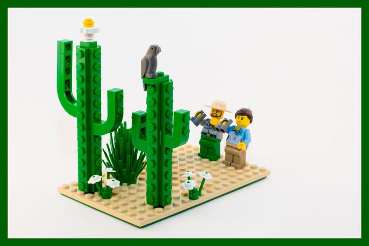 Detail Lego Kaktus Nomer 21