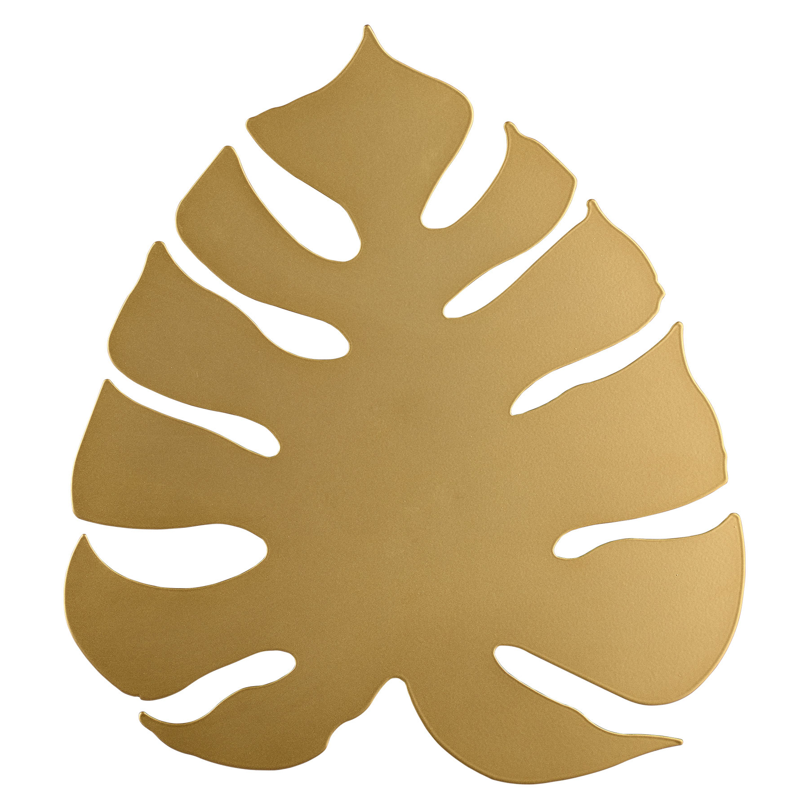 Detail Monstera Wird Braun Nomer 9