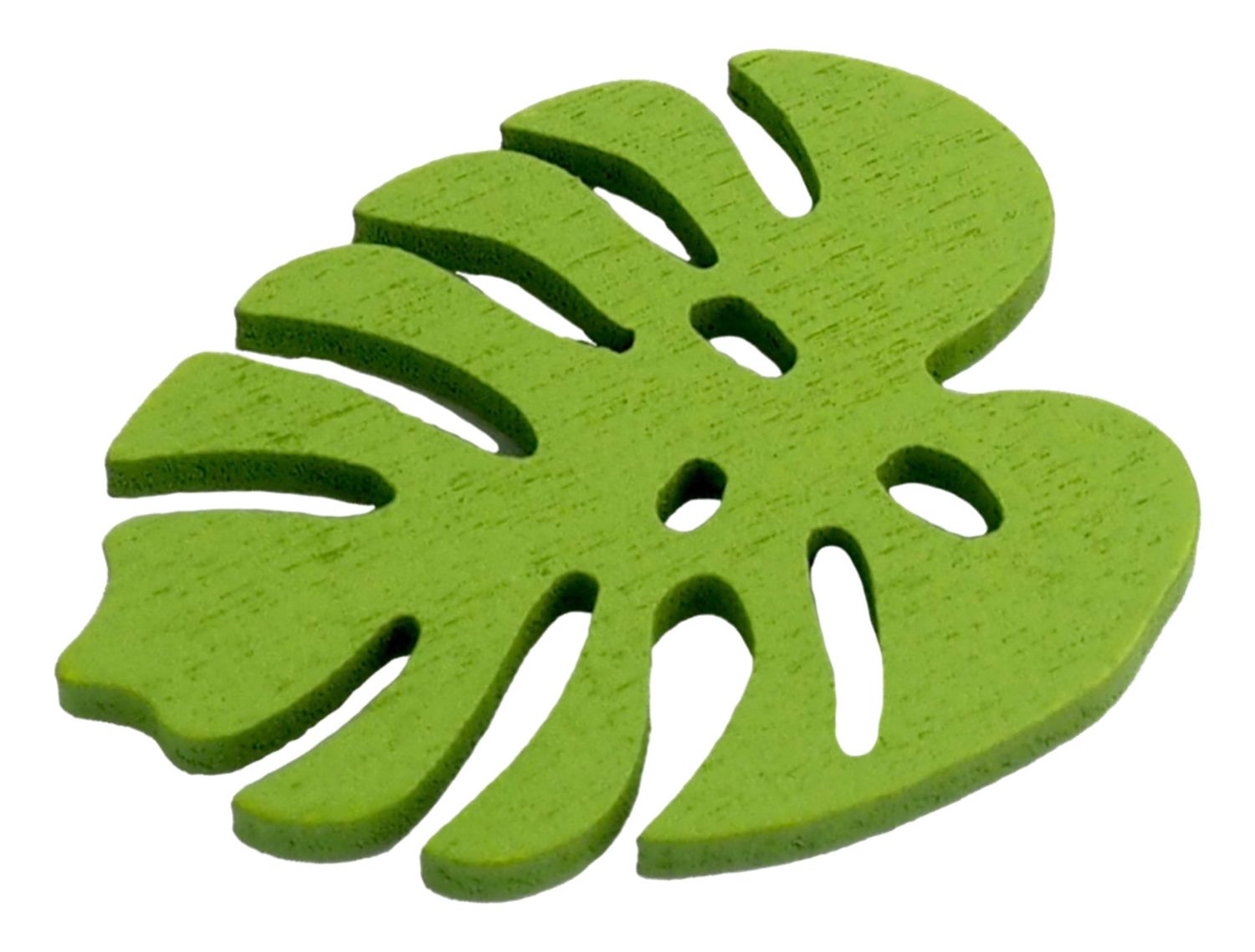 Detail Monstera Wird Braun Nomer 11