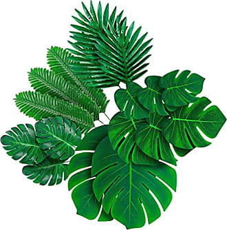 Detail Monstera Wird Braun Nomer 12