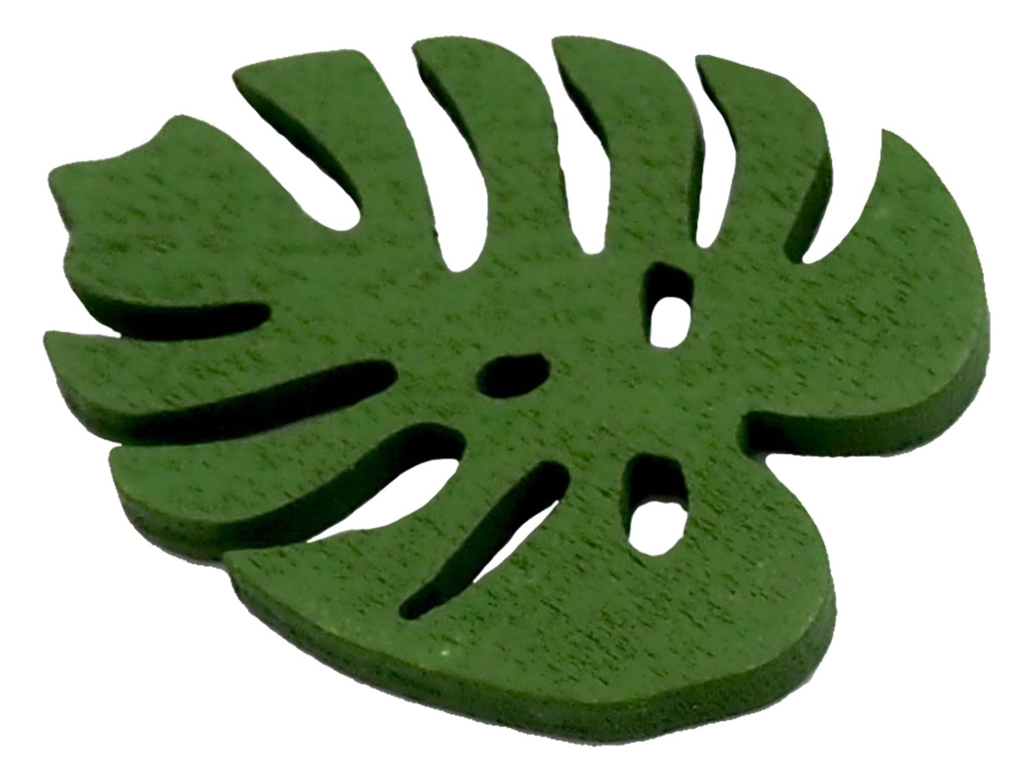 Detail Monstera Wird Braun Nomer 13