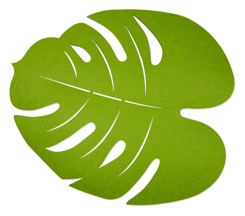 Detail Monstera Wird Braun Nomer 2