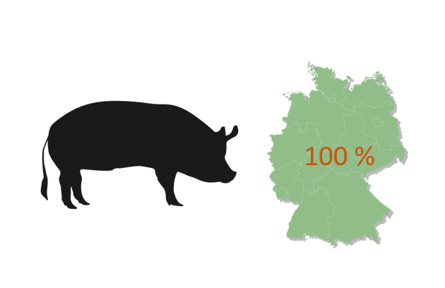 Detail Schwein Bilder Nomer 25
