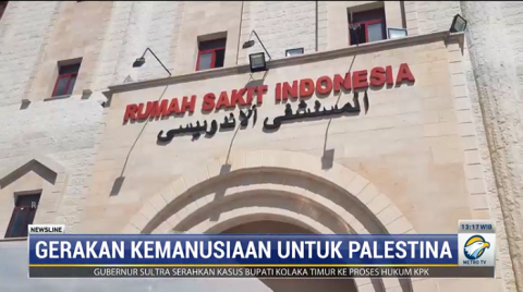 Detail Rumah Sakit Indonesia Palestina Nomer 42