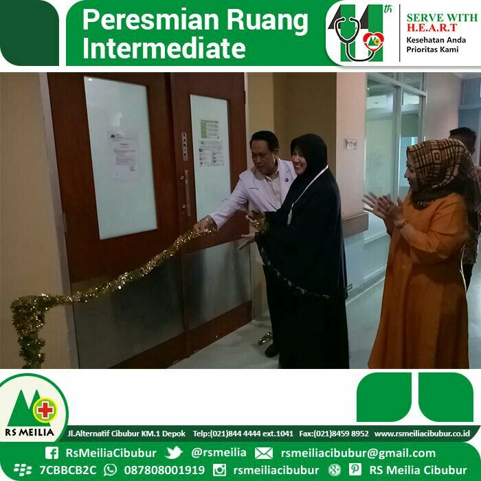 Detail Rumah Sakit Meilia Cibubur Telp Nomer 28