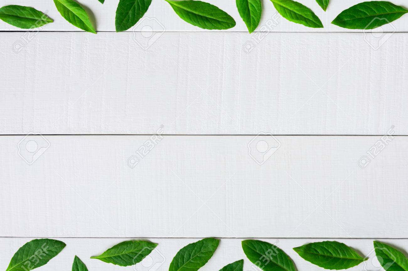 Detail Wallpaper Green And White Nomer 38