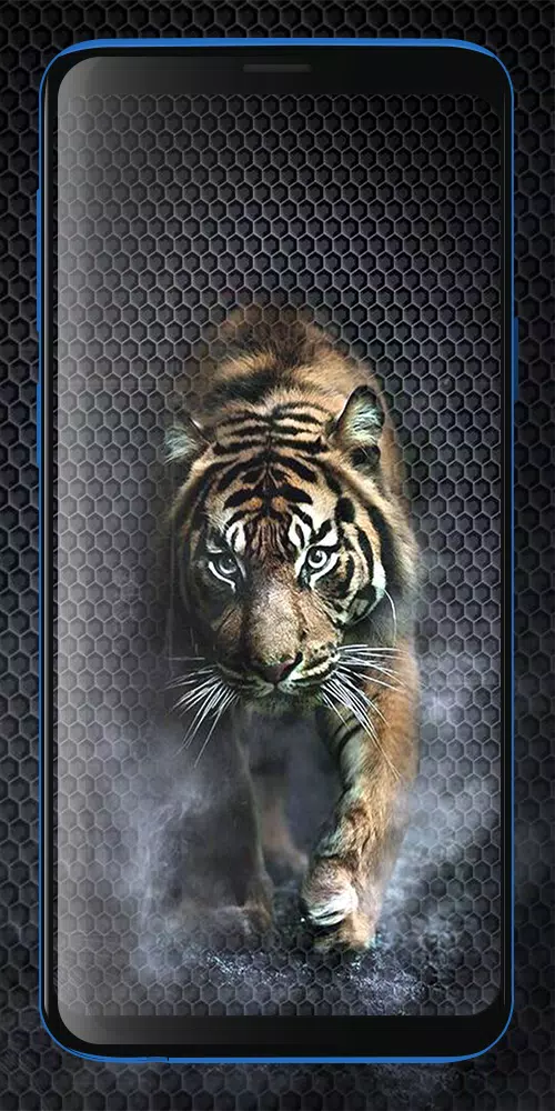 Detail Wallpaper Harimau 3d Nomer 8
