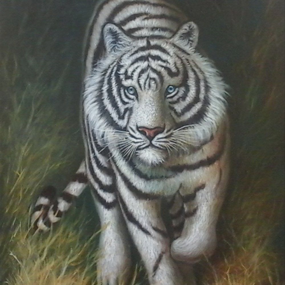 Detail Wallpaper Harimau Putih 3d Nomer 18