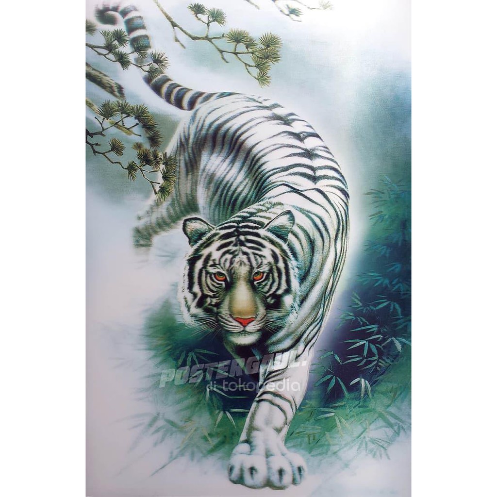 Detail Wallpaper Harimau Putih 3d Nomer 20