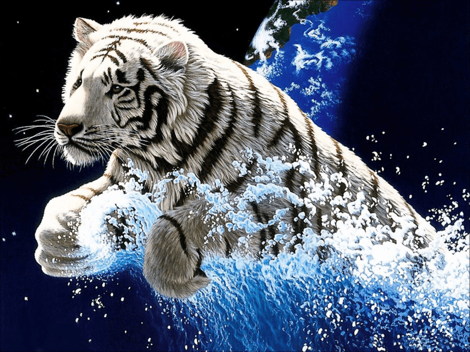 Detail Wallpaper Harimau Putih 3d Nomer 3