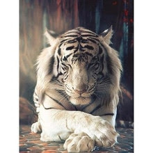 Detail Wallpaper Harimau Putih 3d Nomer 22