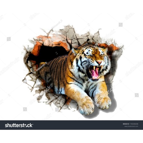 Detail Wallpaper Harimau Putih 3d Nomer 28