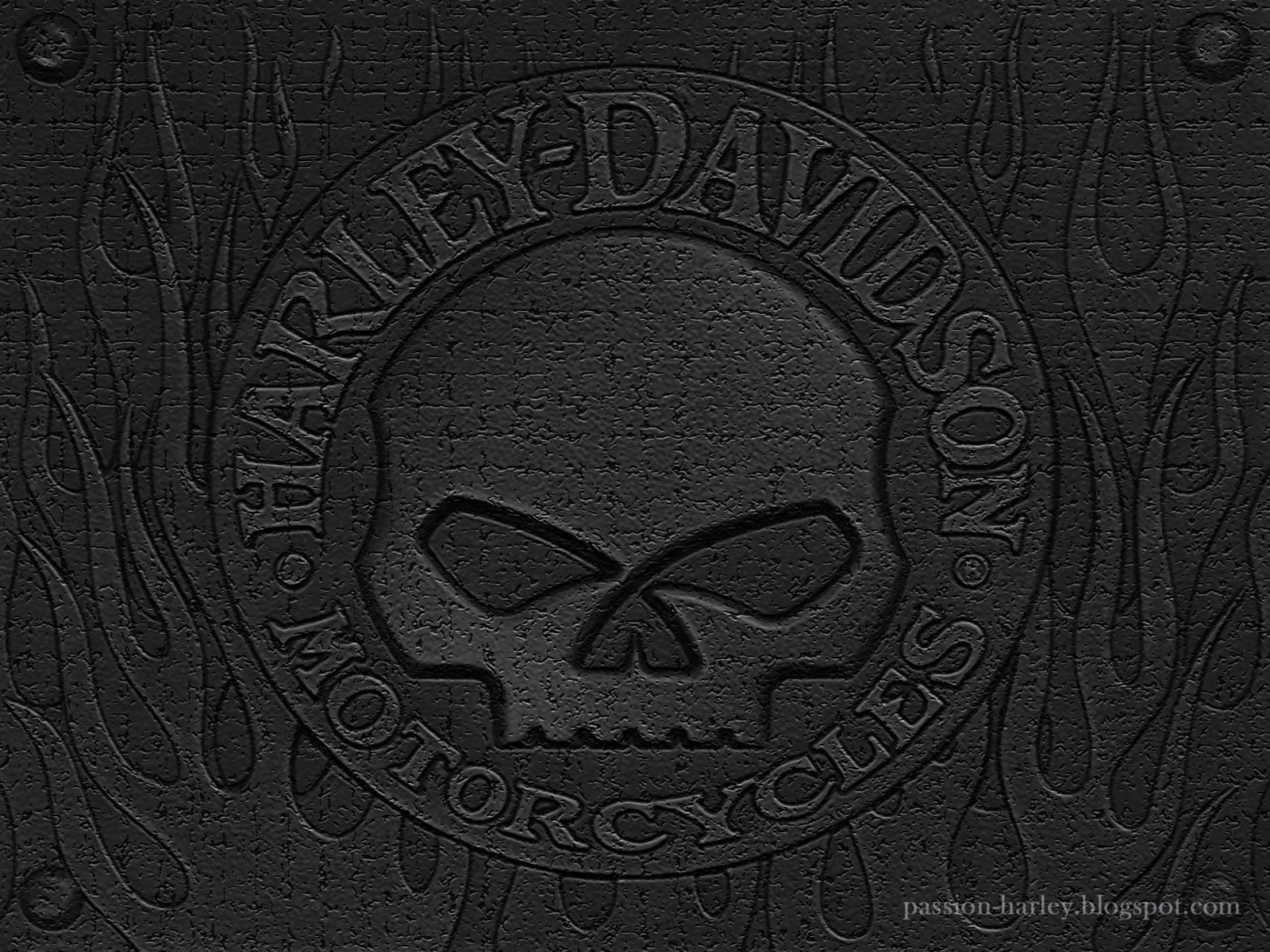 Detail Wallpaper Harley Davidson Skull Logo Nomer 19