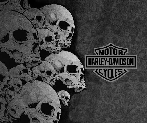 Detail Wallpaper Harley Davidson Skull Logo Nomer 5