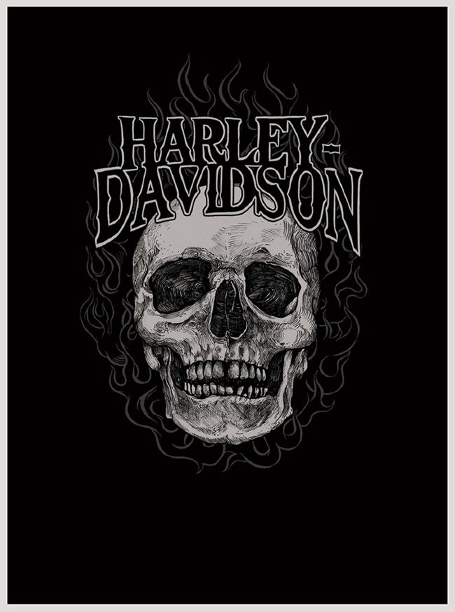 Detail Wallpaper Harley Davidson Skull Logo Nomer 8