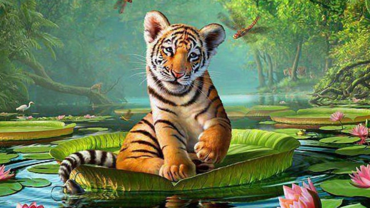 Detail Wallpaper Hd Animal Nomer 11