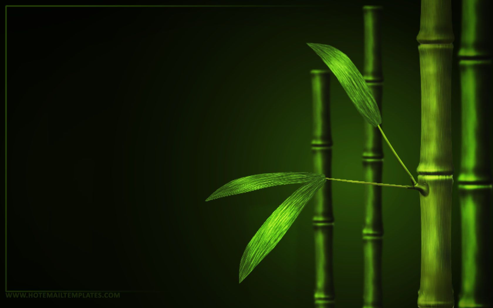 Detail Wallpaper Hd Bambu Nomer 35