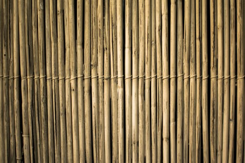 Detail Wallpaper Hd Bambu Nomer 46