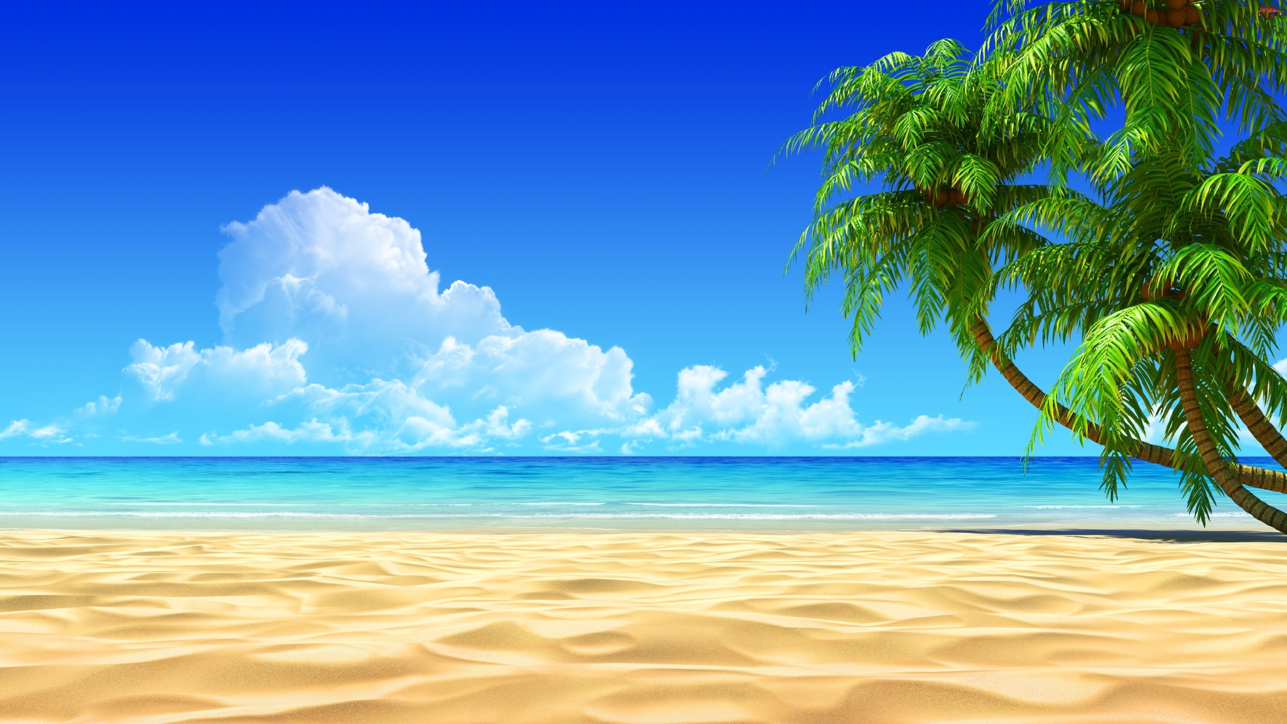 Detail Wallpaper Hd Beach Nomer 21