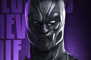 Detail Wallpaper Hd Black Panther Nomer 30