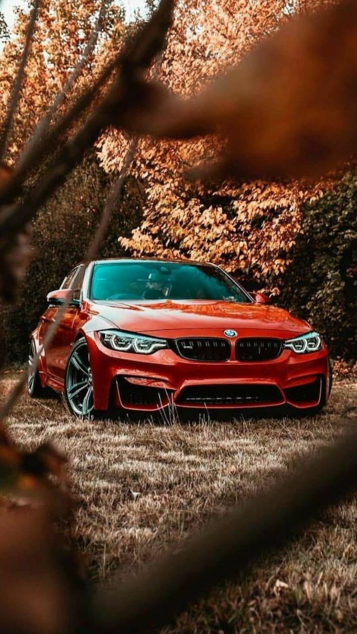 Detail Wallpaper Hd Car Nomer 34