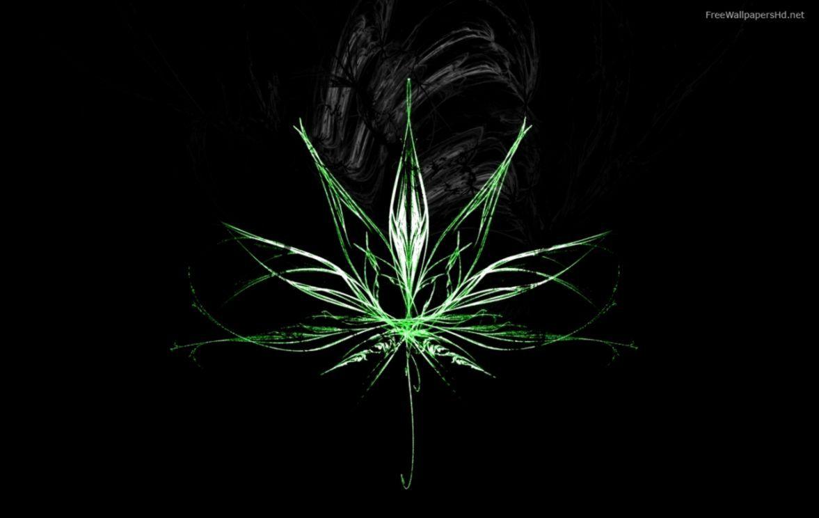 Detail Wallpaper Hd Daun Ganja Nomer 17