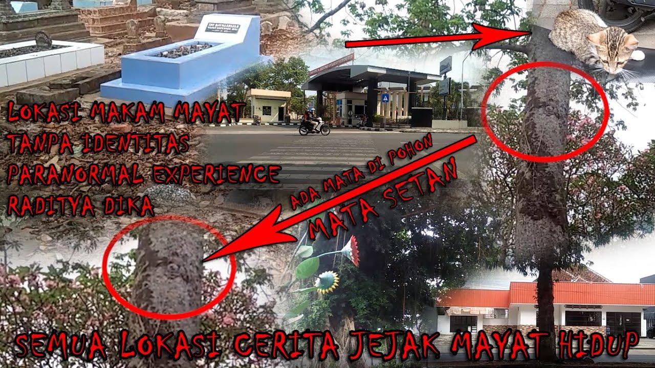 Detail Rumah Sakit Purwokerto Mayat Hidup Nomer 3