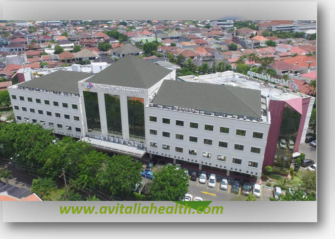 Detail Rumah Sakit Putri Surabaya Nomer 51
