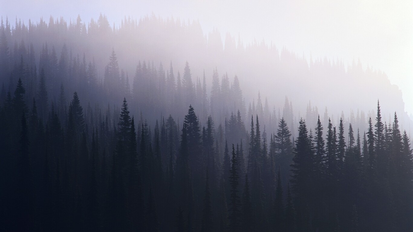 Detail Wallpaper Hd Forest Nomer 34