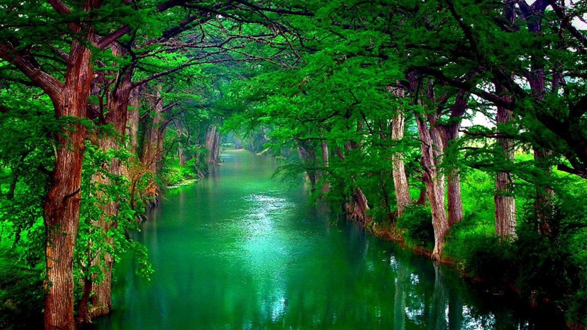 Detail Wallpaper Hd Green Nature Nomer 44