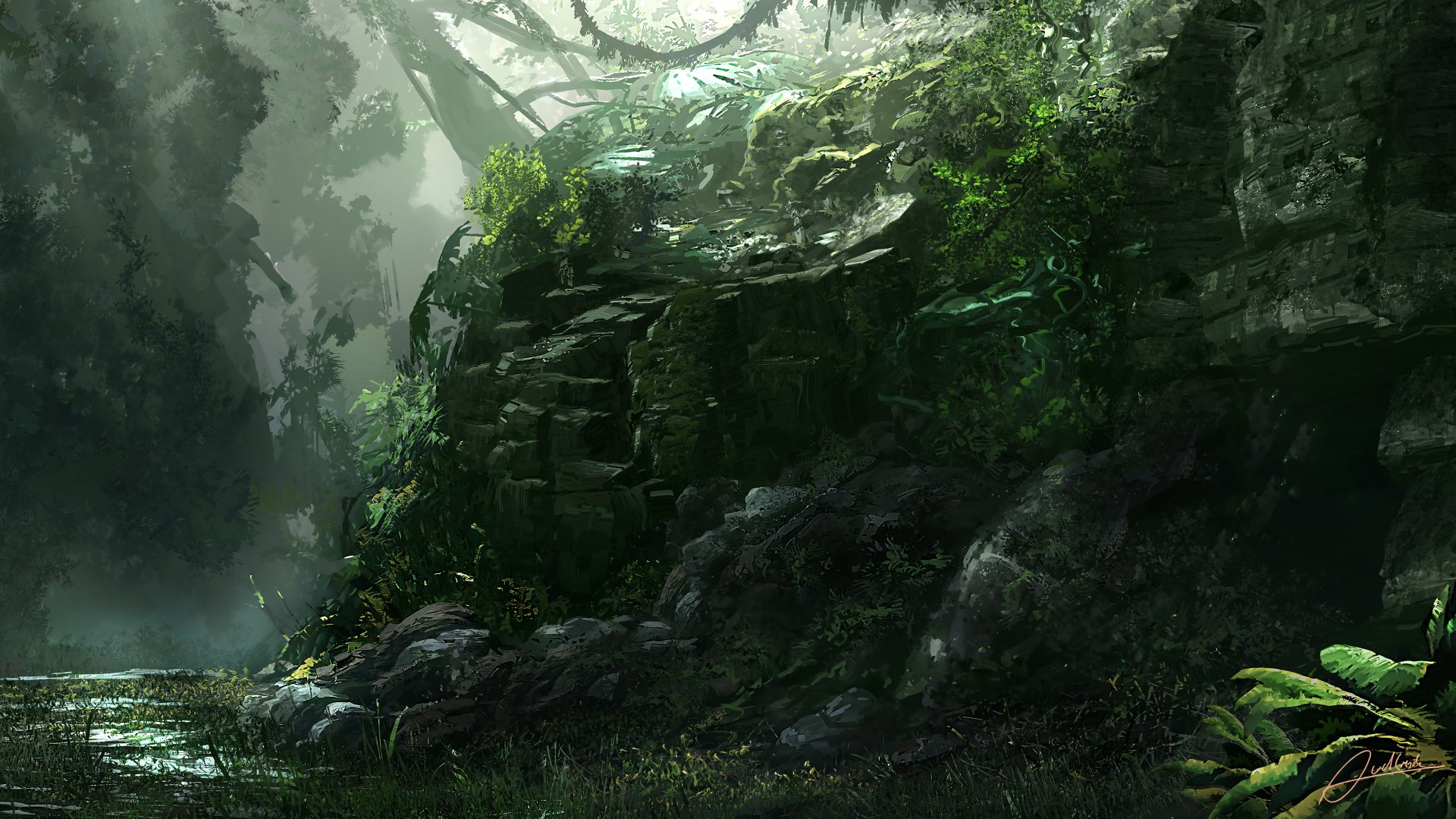 Detail Wallpaper Hd Jungle Nomer 18