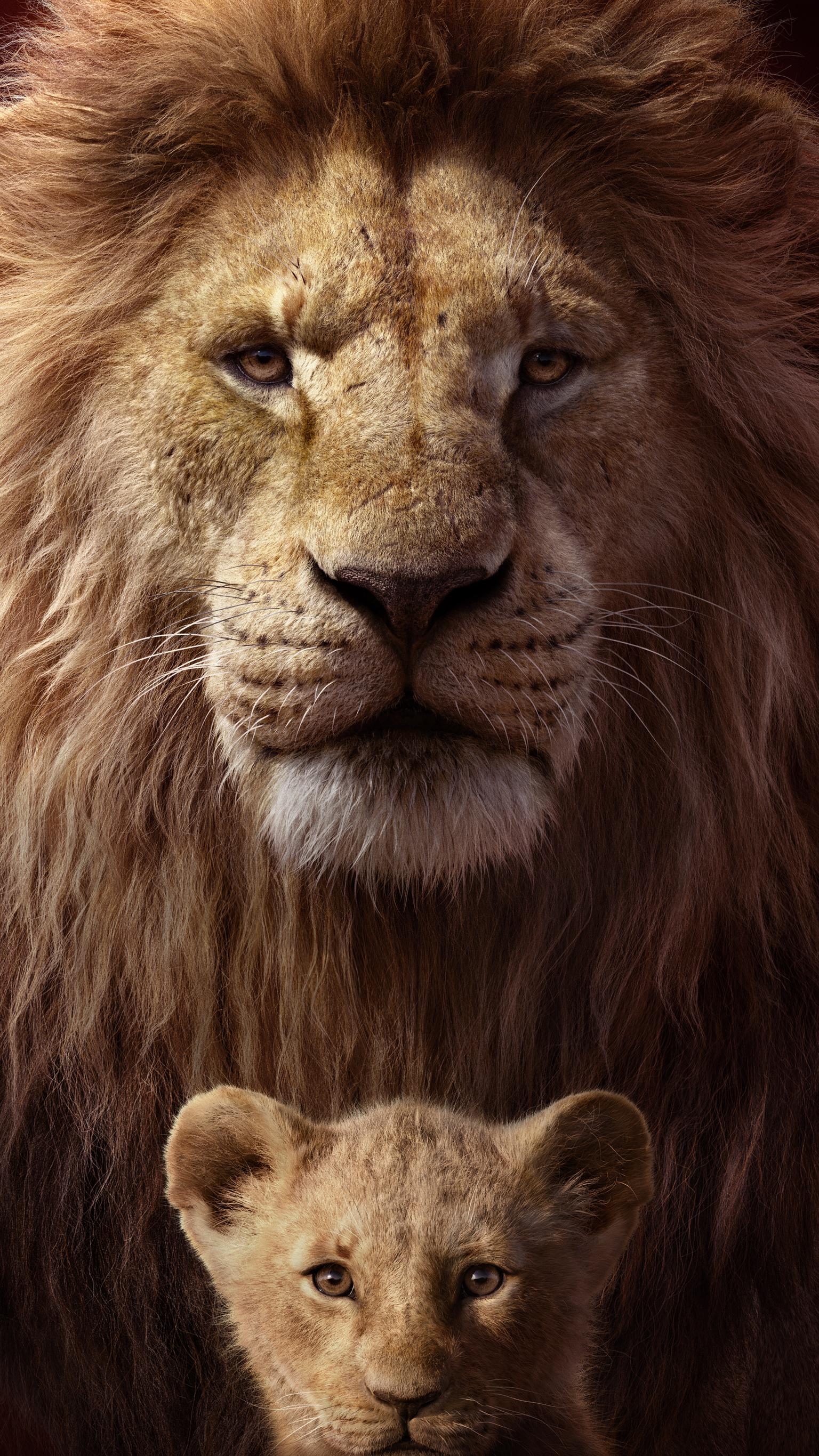 Detail Wallpaper Hd Lion Nomer 39