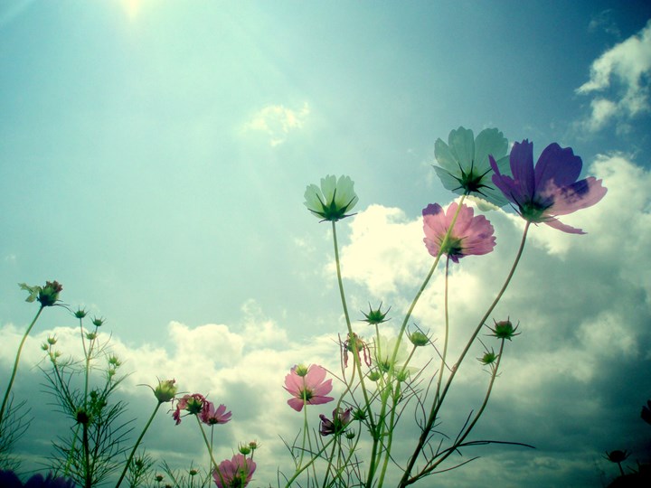 Detail Wallpaper Hd Powerpoint Nomer 27