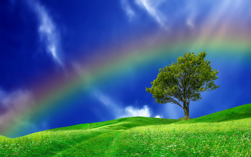 Detail Wallpaper Hd Rainbow Nomer 45