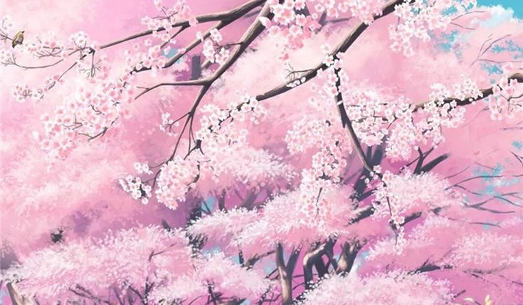 Detail Wallpaper Hd Sakura Nomer 37