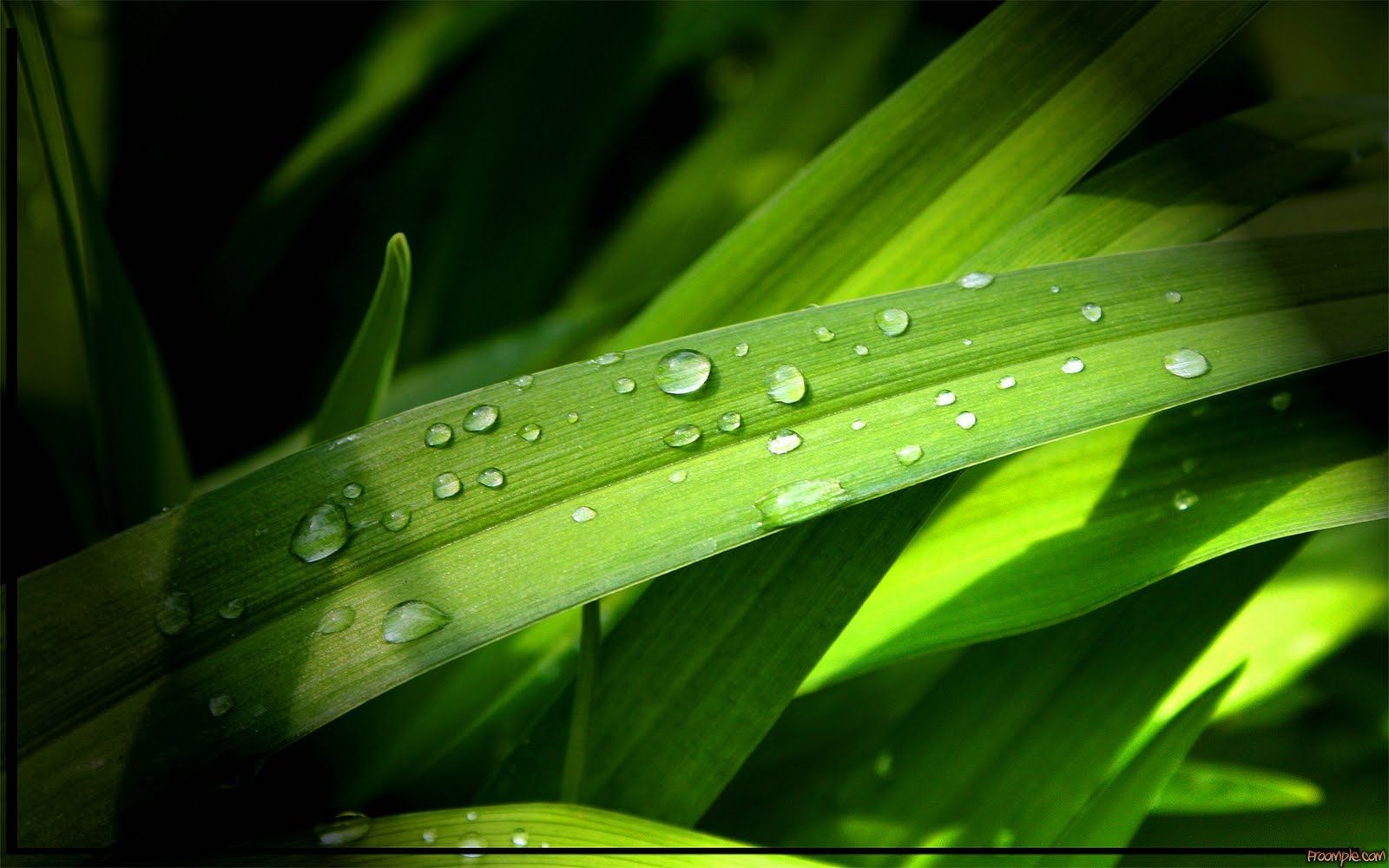 Detail Wallpaper Hd Ukuran Besar Koleksi Nomer 13