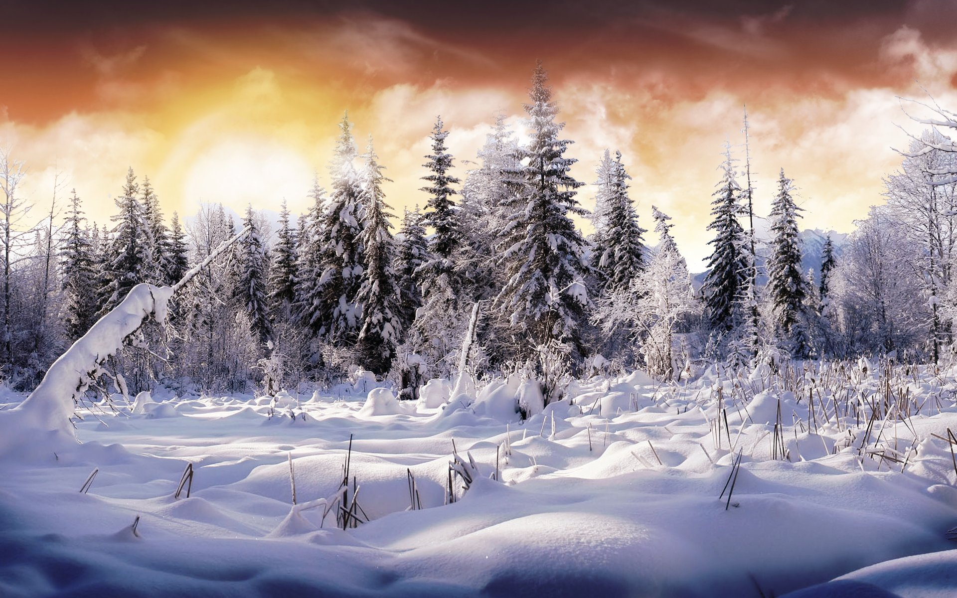 Detail Wallpaper Hd Winter Nomer 3