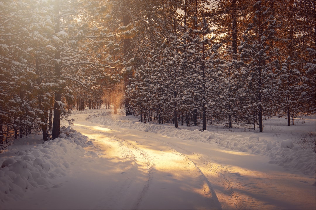 Detail Wallpaper Hd Winter Nomer 40