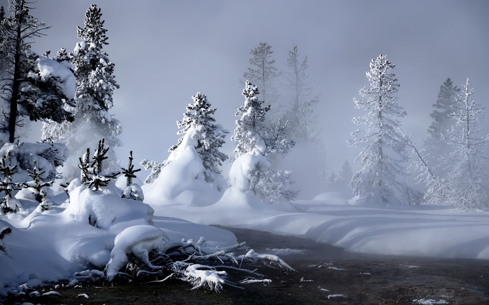 Detail Wallpaper Hd Winter Nomer 49