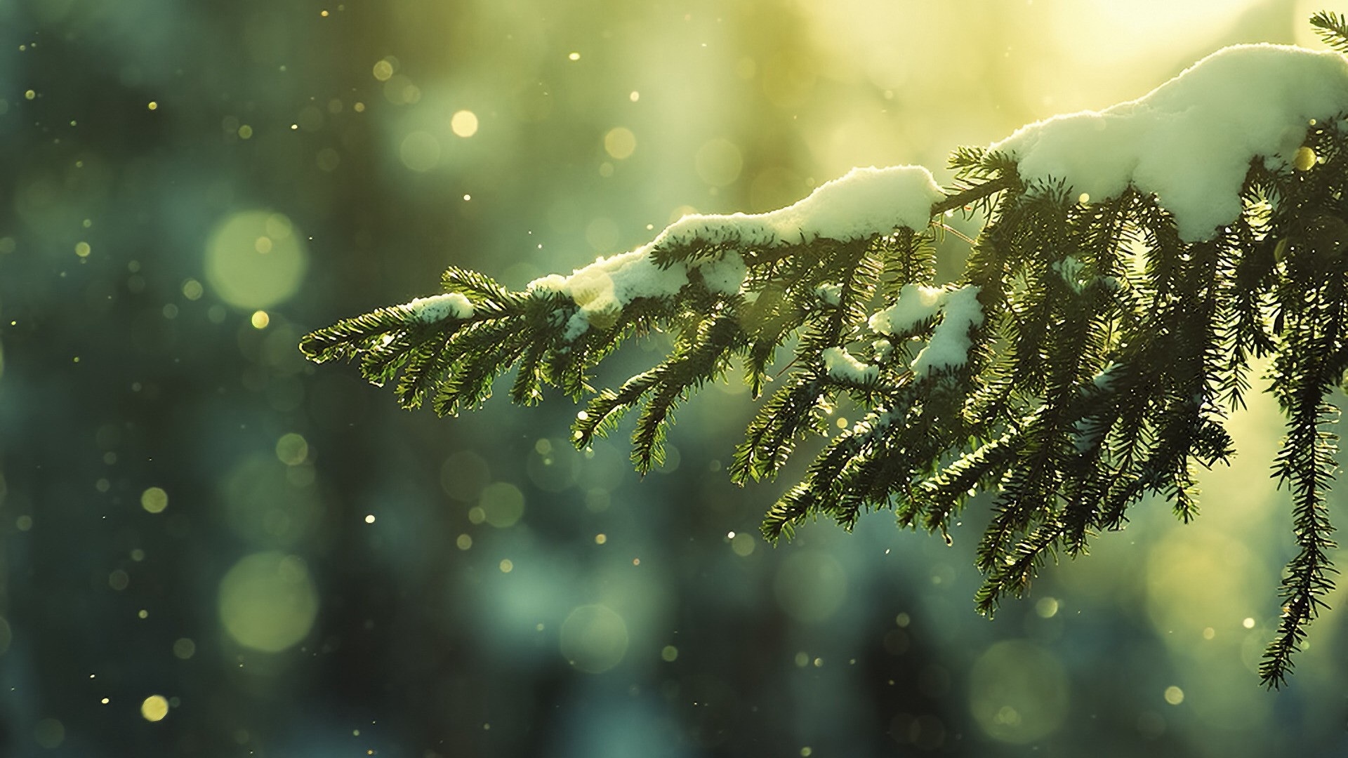 Detail Wallpaper Hd Winter Nomer 51