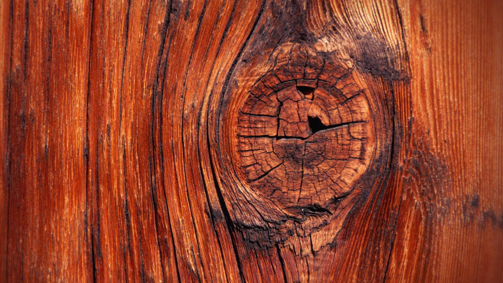 Detail Wallpaper Hd Wood Nomer 27