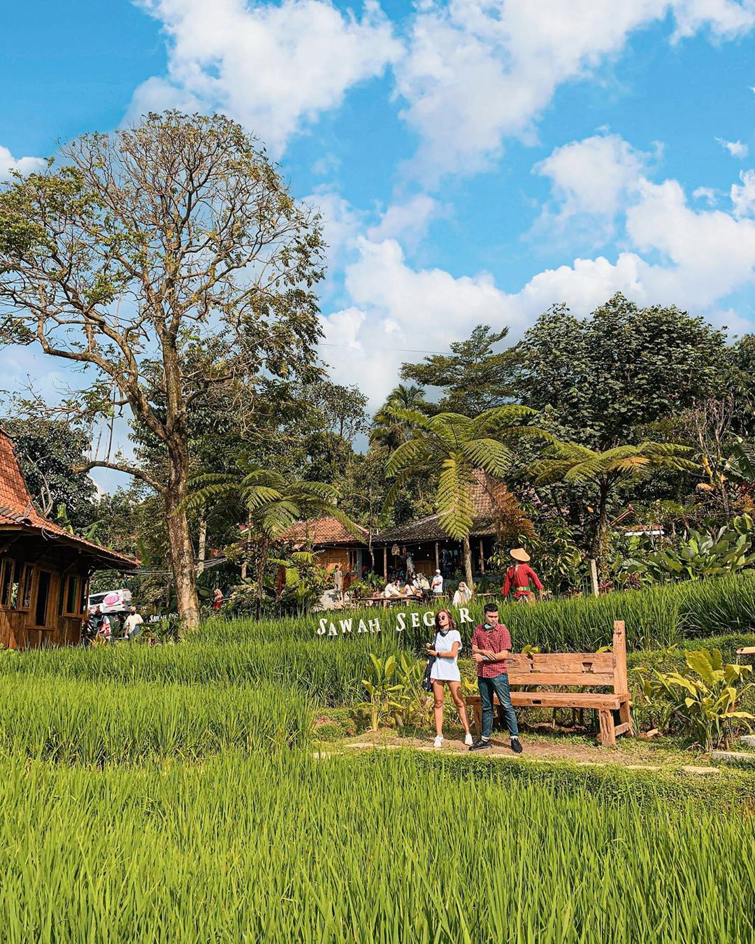 Detail Rumah Sawah Sentul Nomer 46