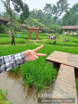 Detail Rumah Sawah Sentul Nomer 51