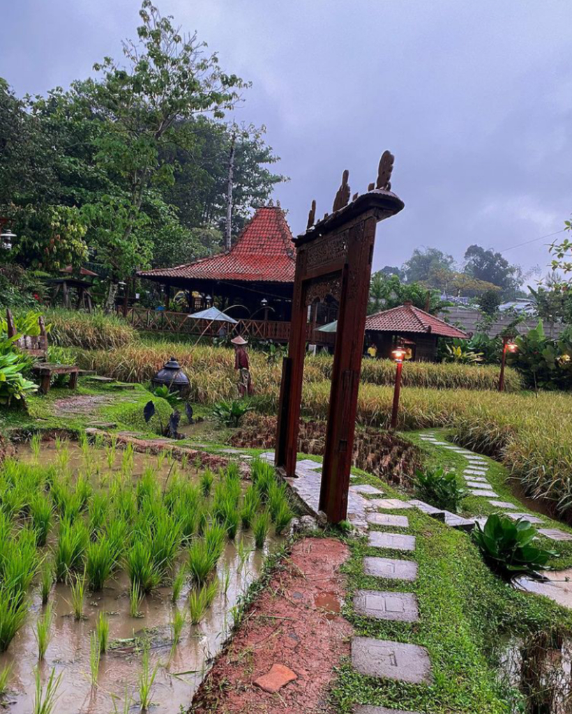 Detail Rumah Sawah Sentul Nomer 55