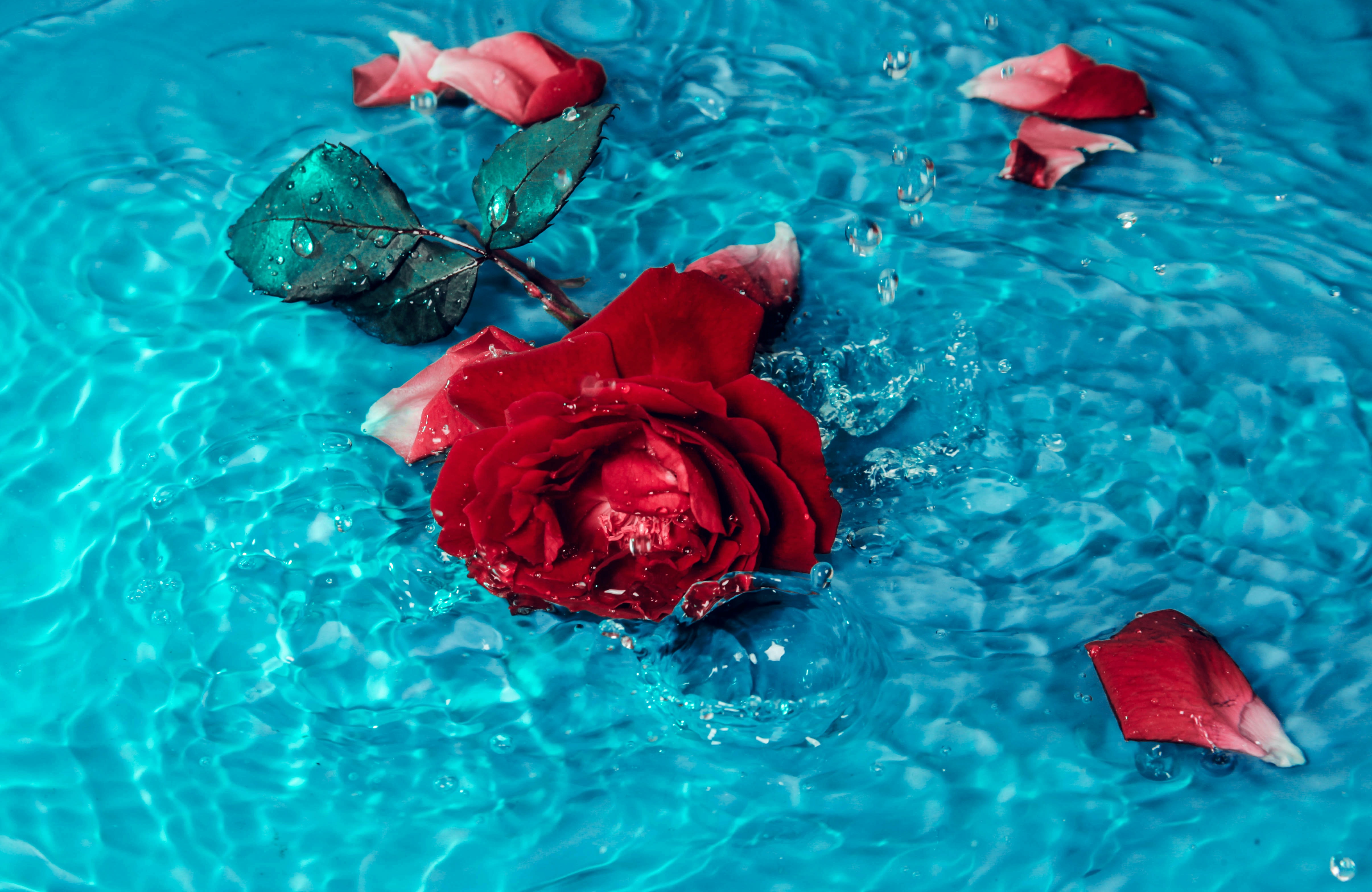 Detail Wallpaper High Resolution Nomer 19