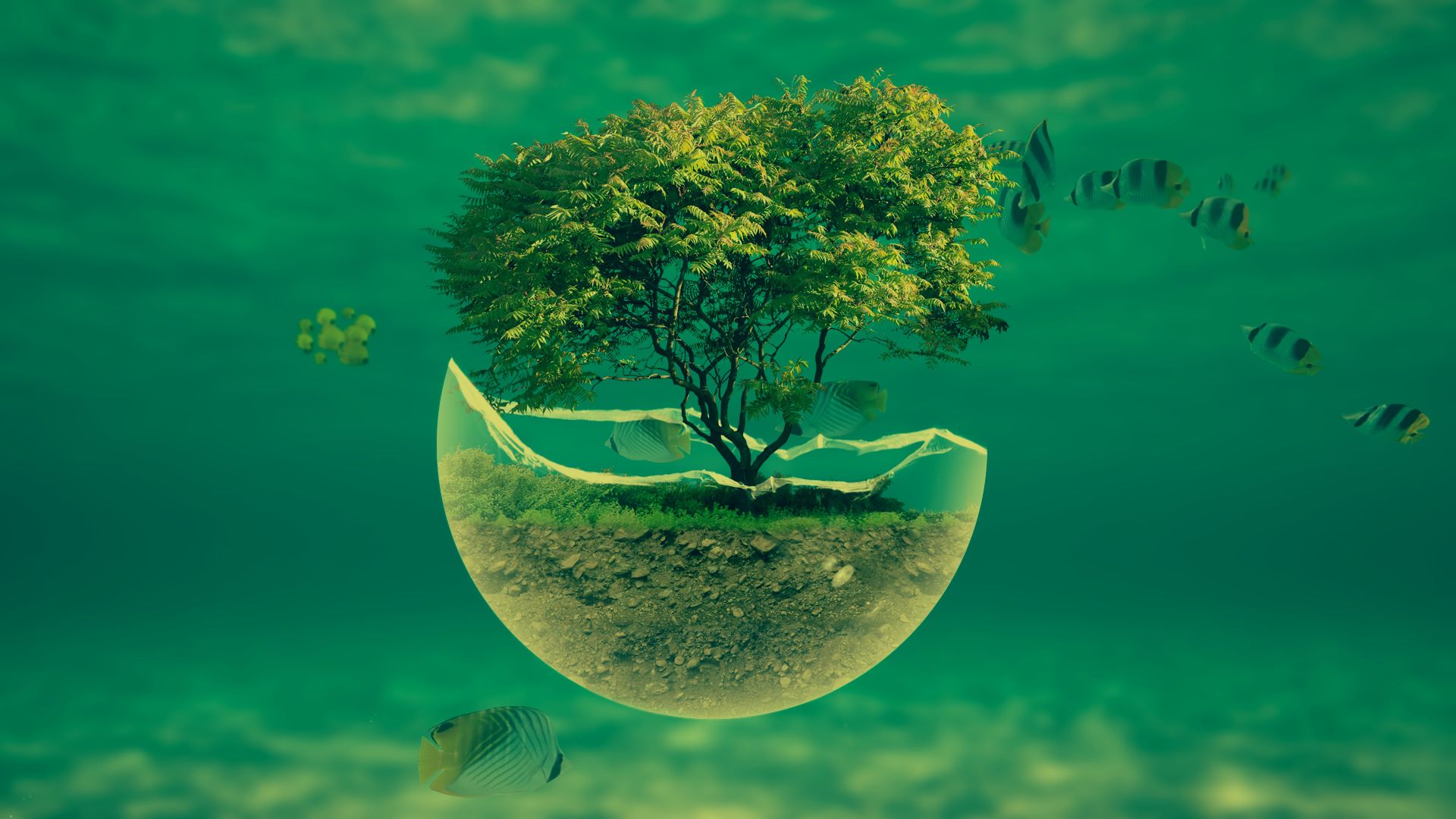 Detail Wallpaper High Resolution Nomer 26