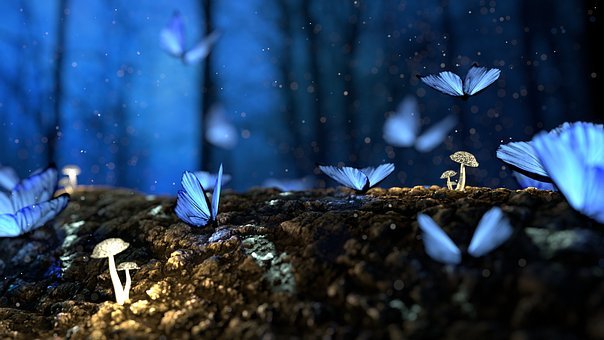 Detail Wallpaper High Resolution Nomer 45