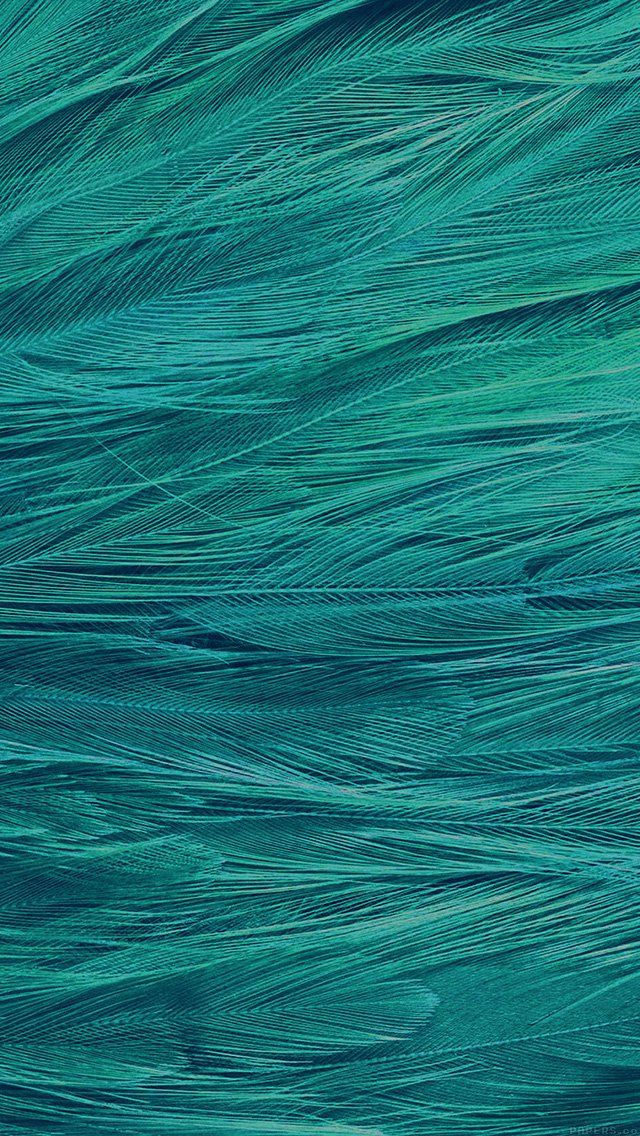 Detail Wallpaper Hijau Tosca Nomer 22